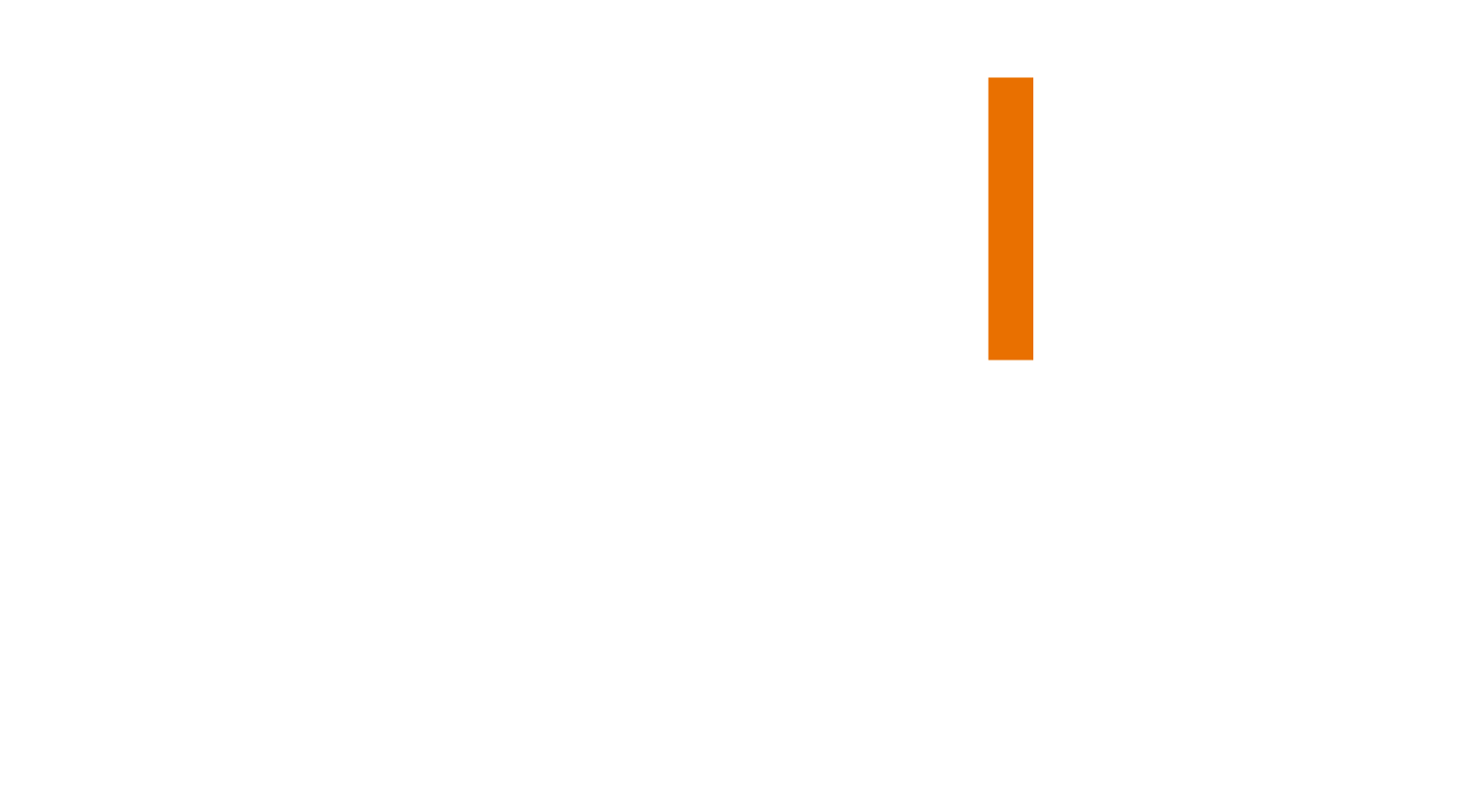 313X Logo